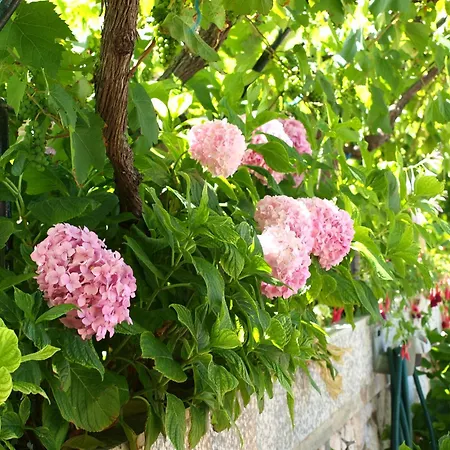 Bed & Breakfast Alaburic & 4*